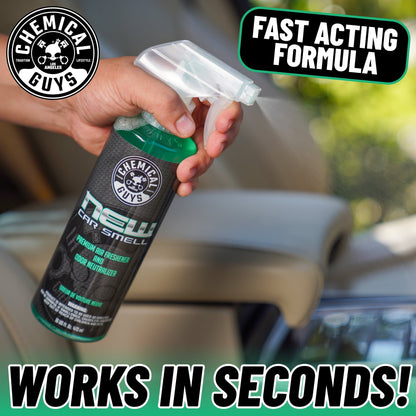 Chemical Guys CG New Car Spray Air Freshener